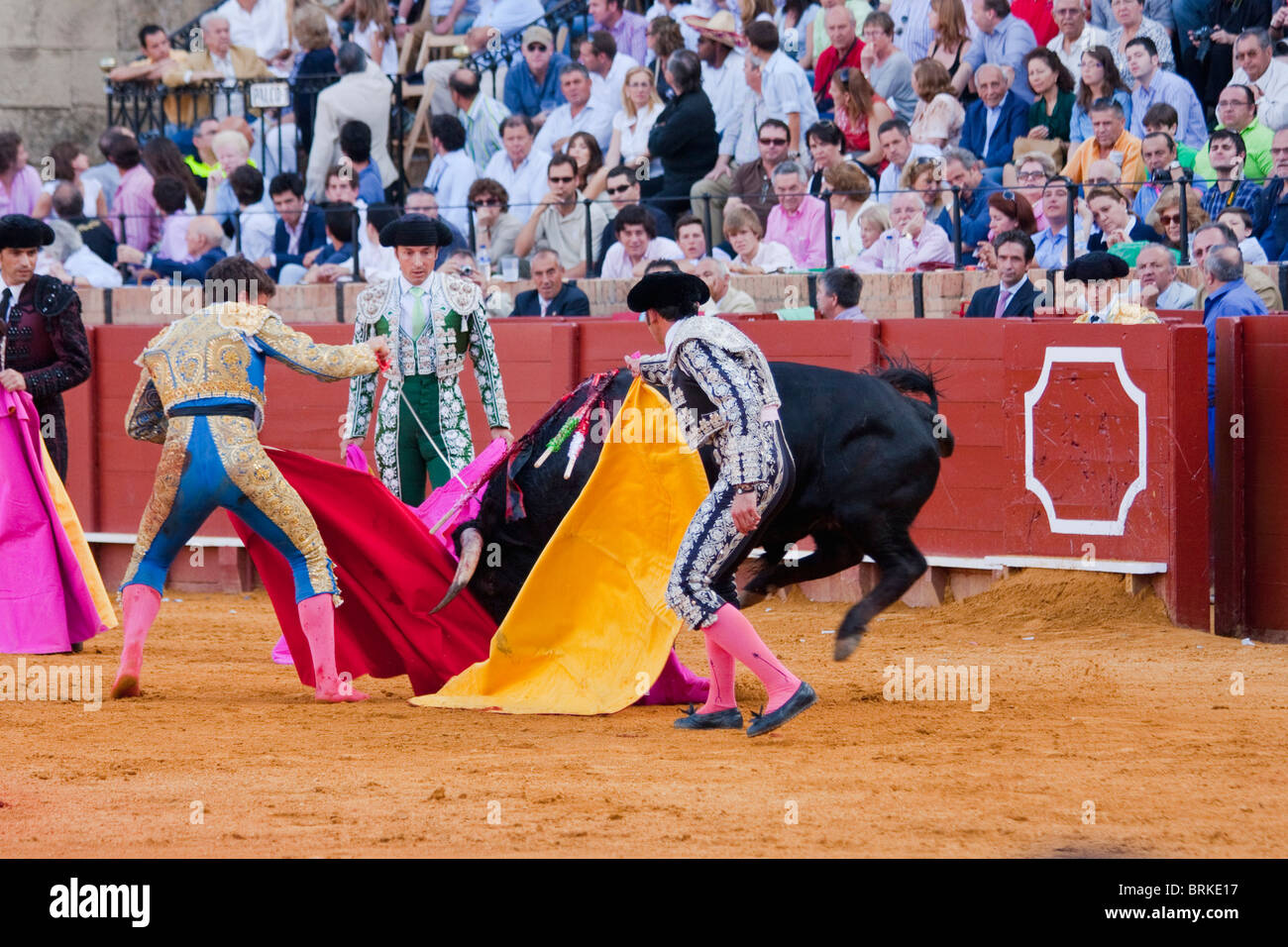 Breathtaking Spain’s Greatest Matador Gored By Bull In Comeback From Retirement Photo Photography Breathtaking Spain’s Greatest Matador Gored By Bull In Comeback From Retirement Photo Photography