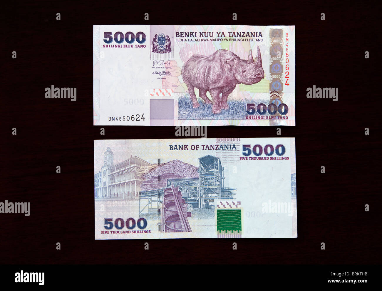 Tanzanian Banknote. 5000 Shillings. Rhinoceros on front, Zanzibar House of Wonders, Beit al-Ajaib, on left of rear, Geita gold Mine on right, 2003. Stock Photo