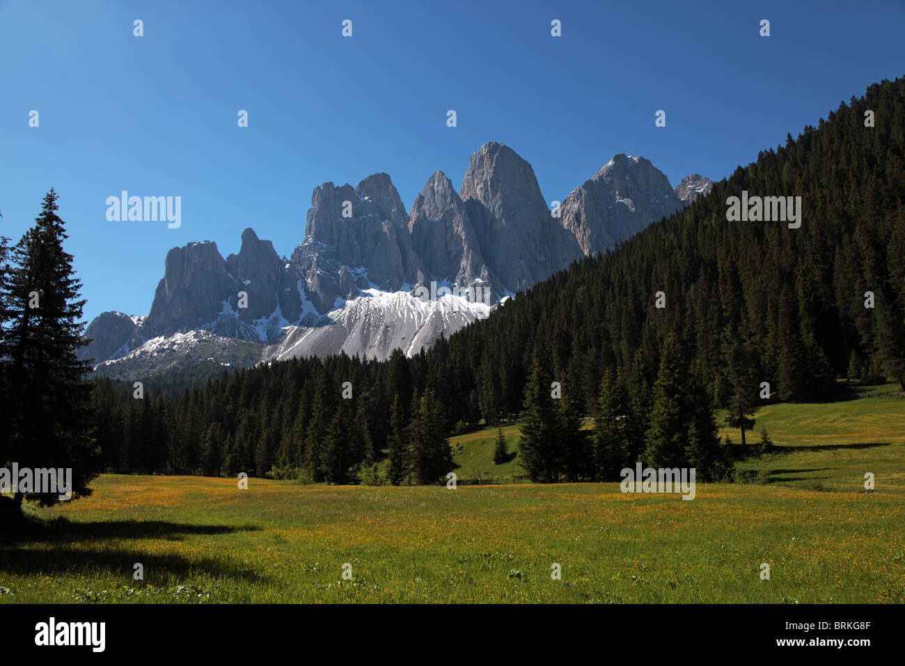 Geisler Group of the Dolomites, South Tirol, Italy Stock Photo