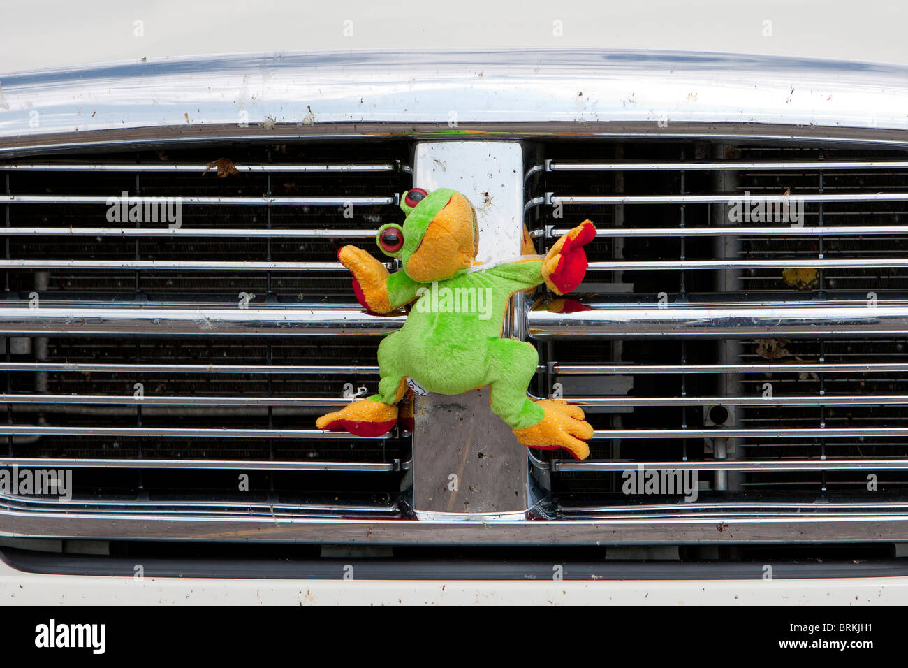 A green stuffed animal mounted to the grill of a storm chaser's car in North Platte, Nebraska, May 23, 2010. Stock Photo