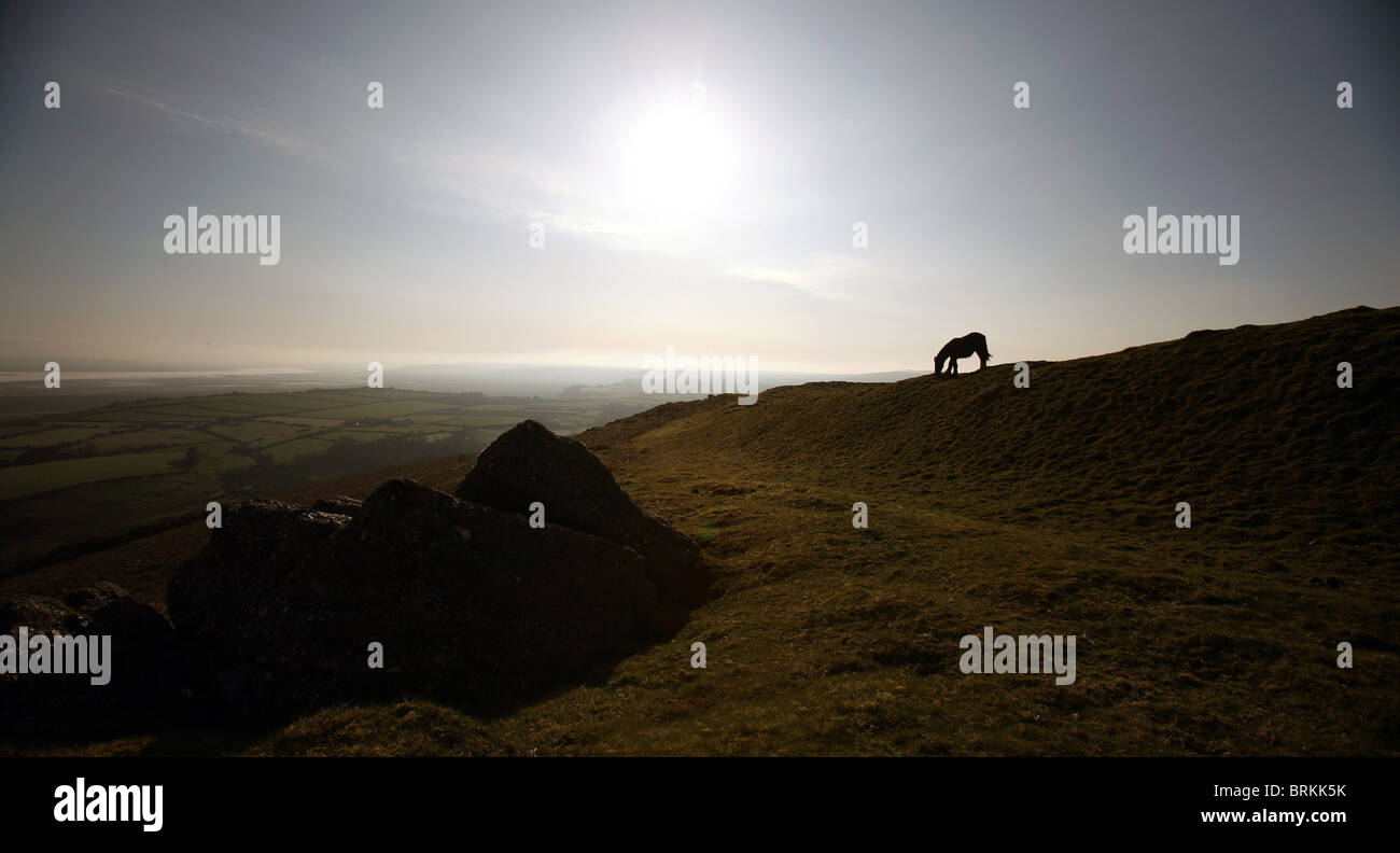 The Bulwark, Iron Age fort near Llanmadoc Gower Peninsula South Wales UK Stock Photo