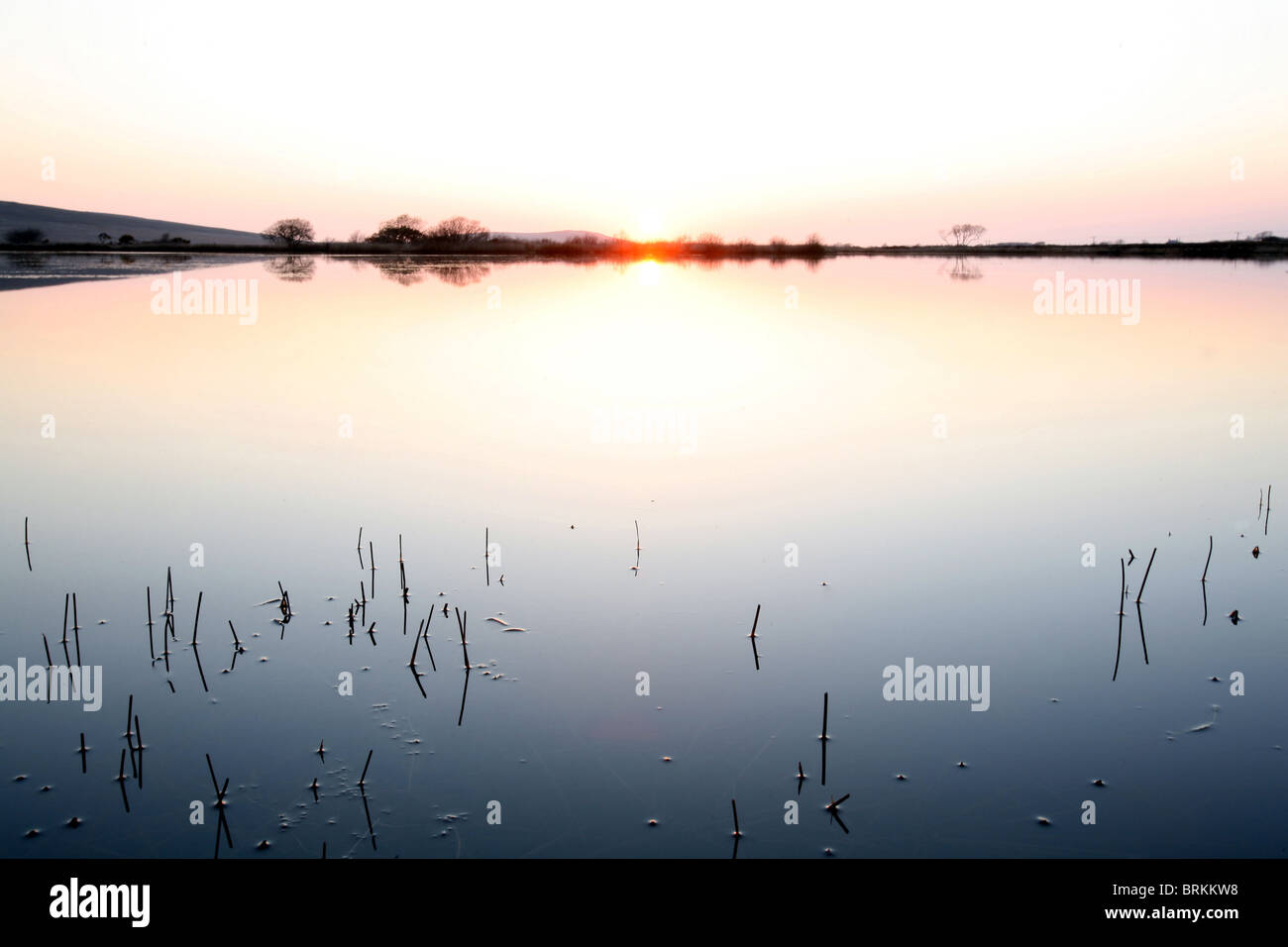 Reeds and Winter sunset at Broad Pool Gower Peninsula City and County of Swansea Wales UK Stock Photo