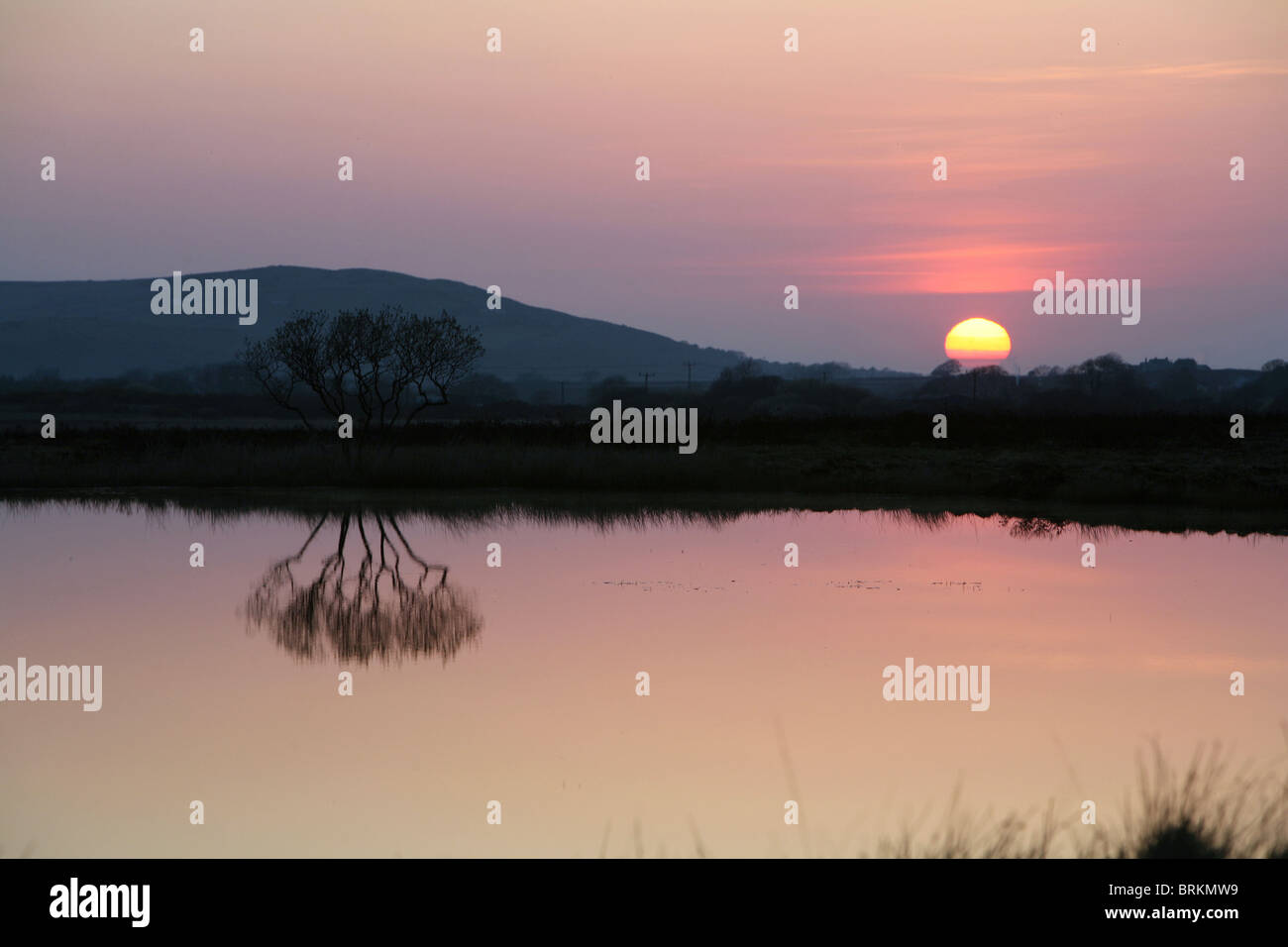 Llanmadoc Hill with winter sunset from Broad Pool Gower Peninsula Wales UK Stock Photo