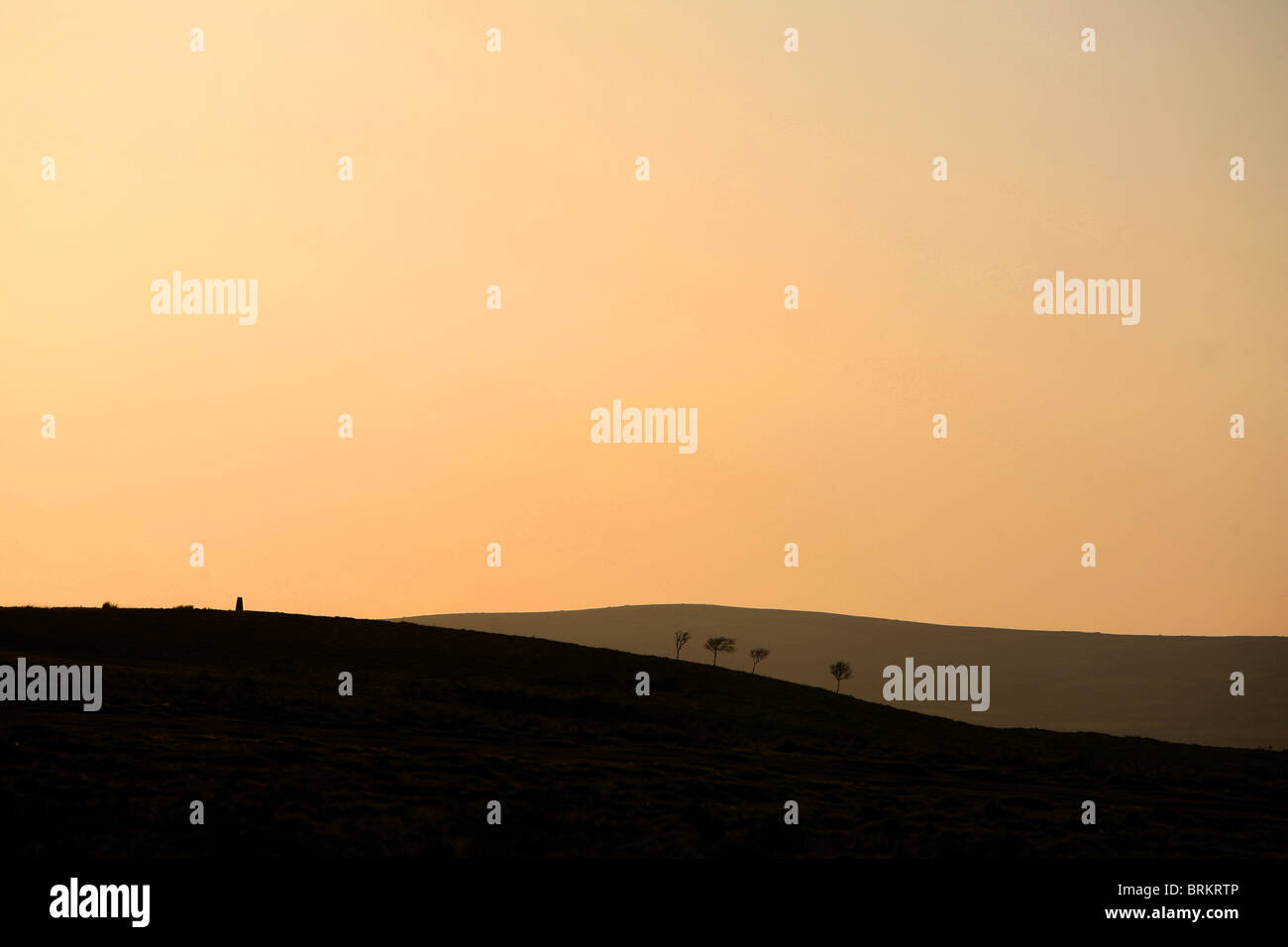 Four trees and Trig point Cefn Bryn Gower Peninsula South Wales UK Stock Photo