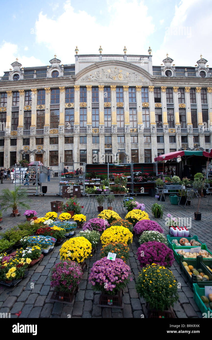 Flower market in Grand Place Grote Markt Brussels Bruxelles Belgium. Photo:Jeff Gilbert Stock Photo