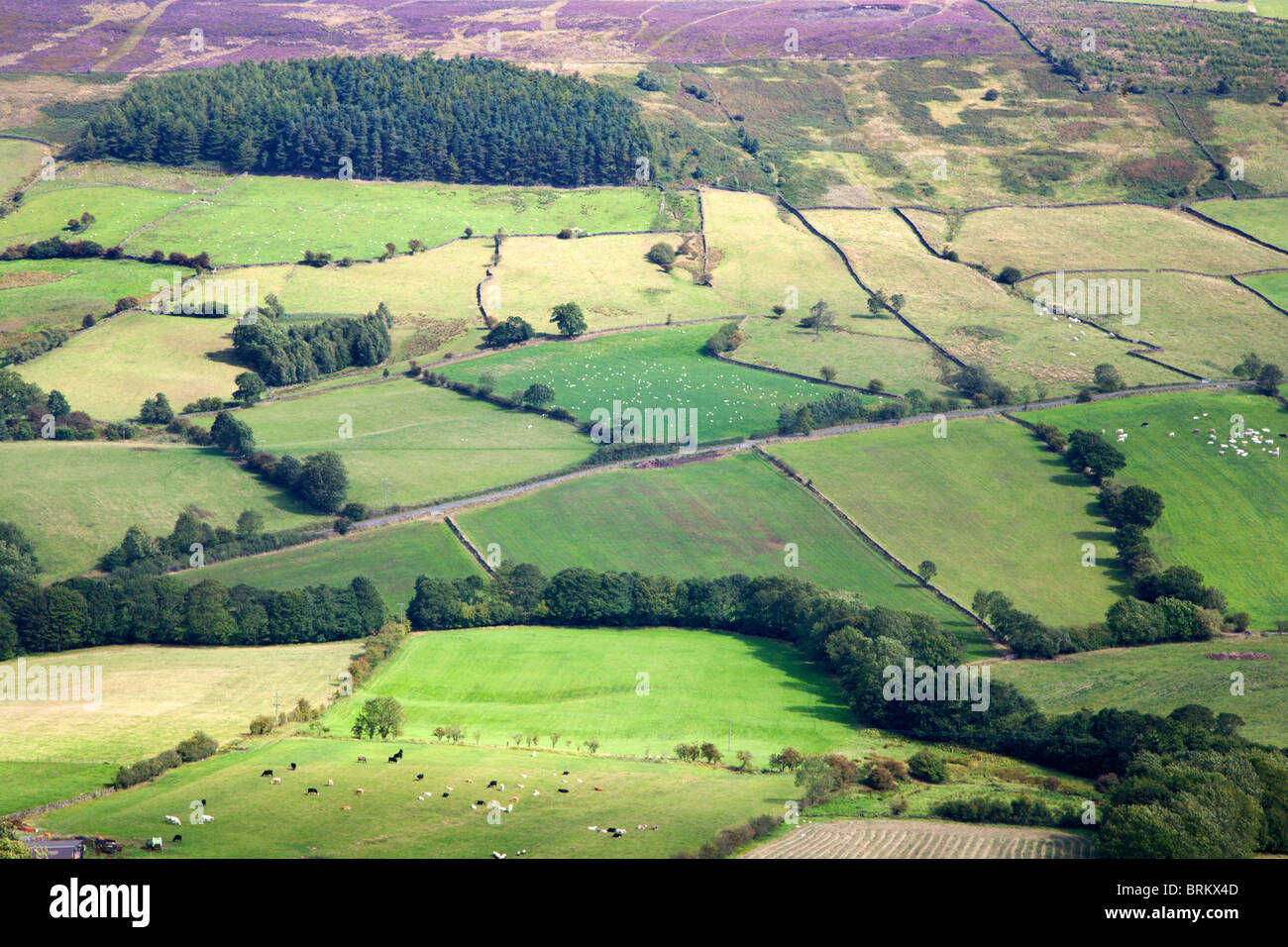 Rosedale hires stock photography and images Alamy