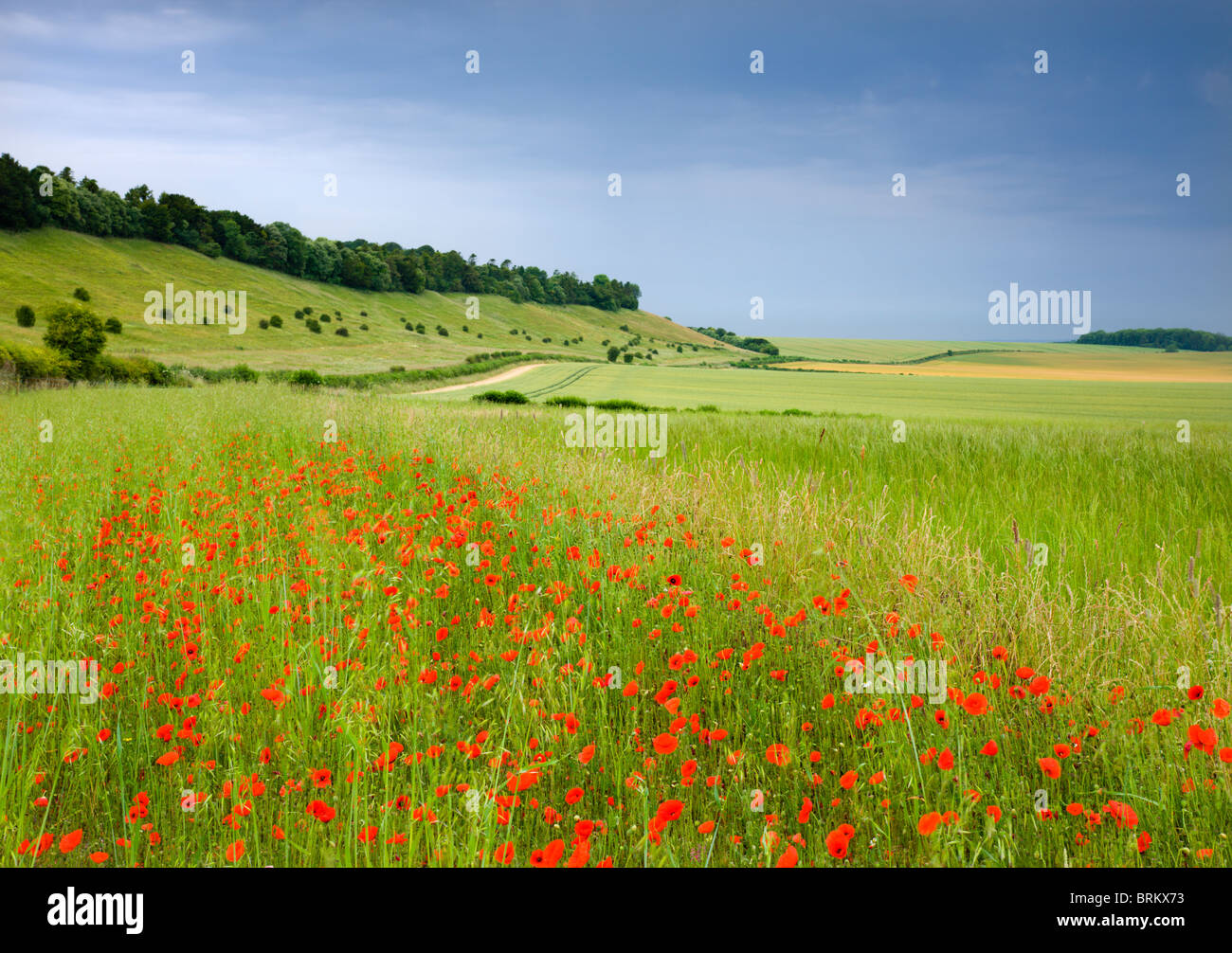 West dean wiltshire hires stock photography and images Alamy