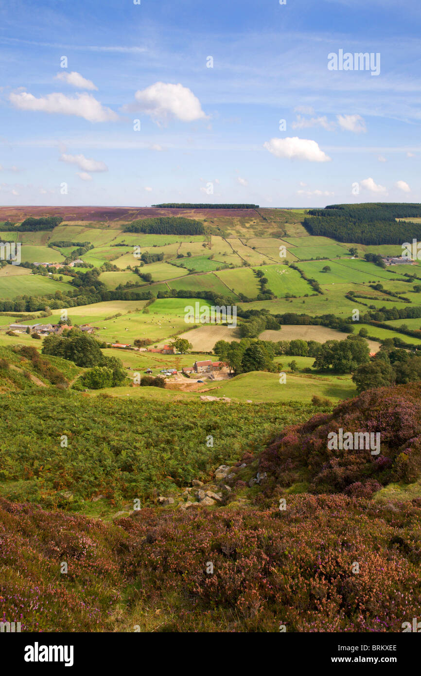 Rosedale hires stock photography and images Alamy