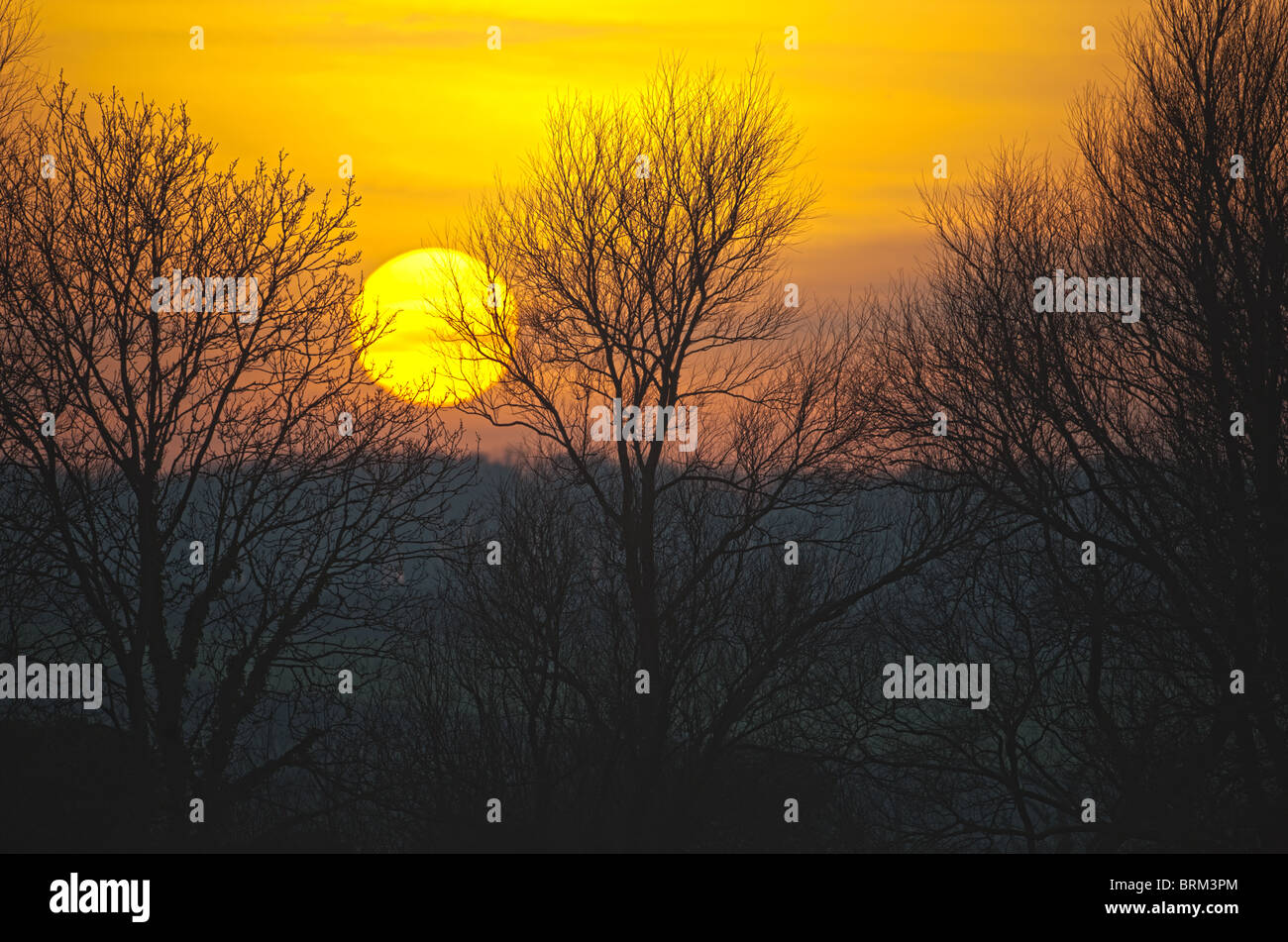 Sunset over meadows at Burnham Norton Norfolk winter Stock Photo