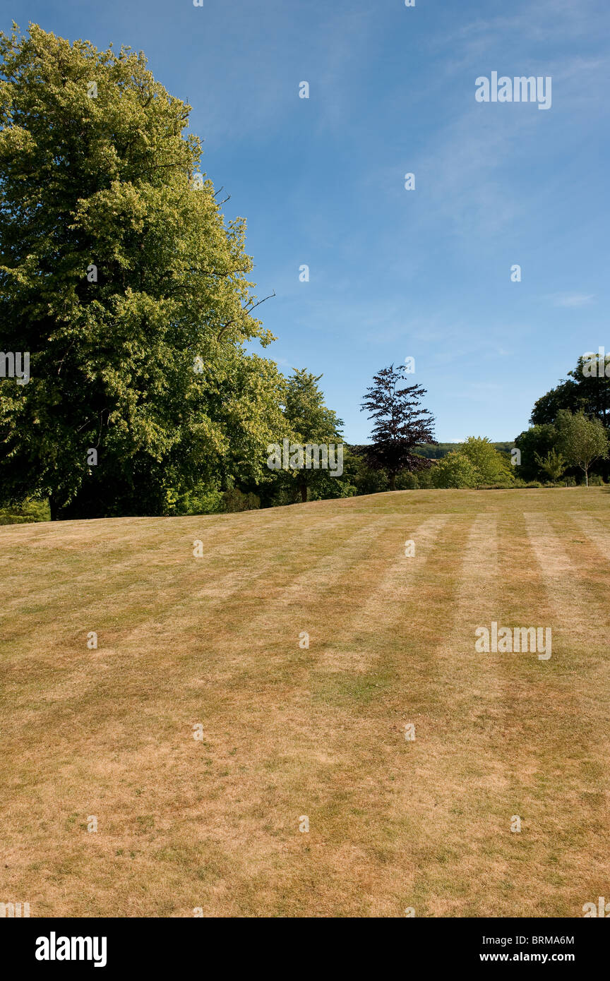 Dry looking lawn during a hot dry summer in England Stock Photo Alamy