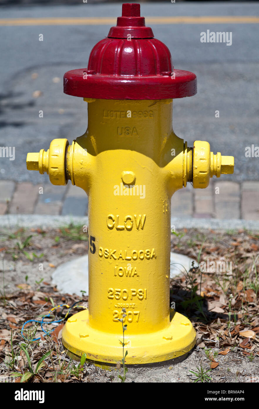 An American water hydrant in Savannah, Stock Photo Alamy