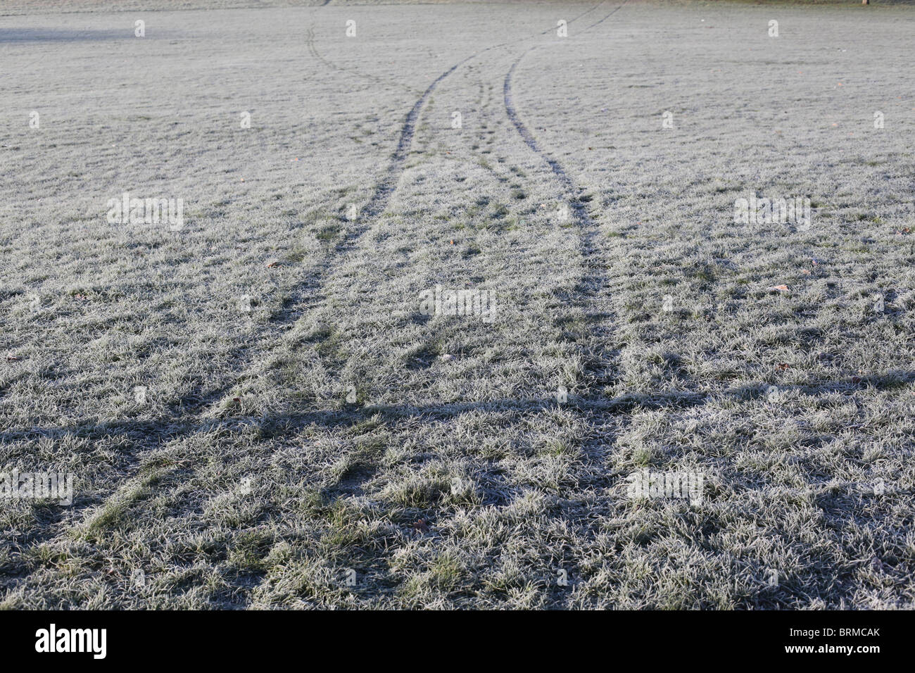 Car tracks through frosty grass Stock Photo
