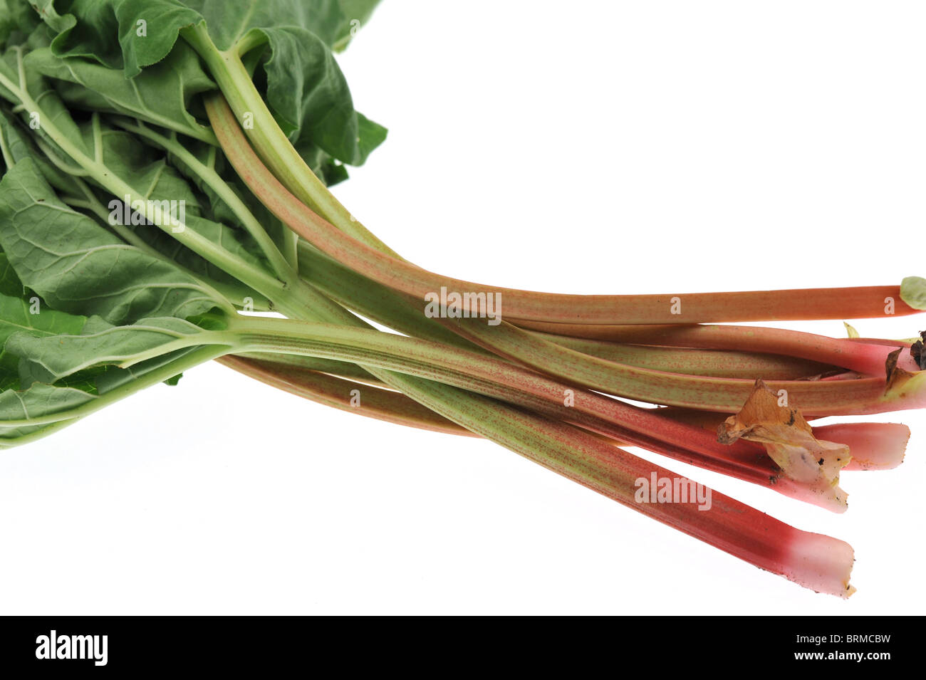 Freshly picked rhubarb on white background Stock Photo