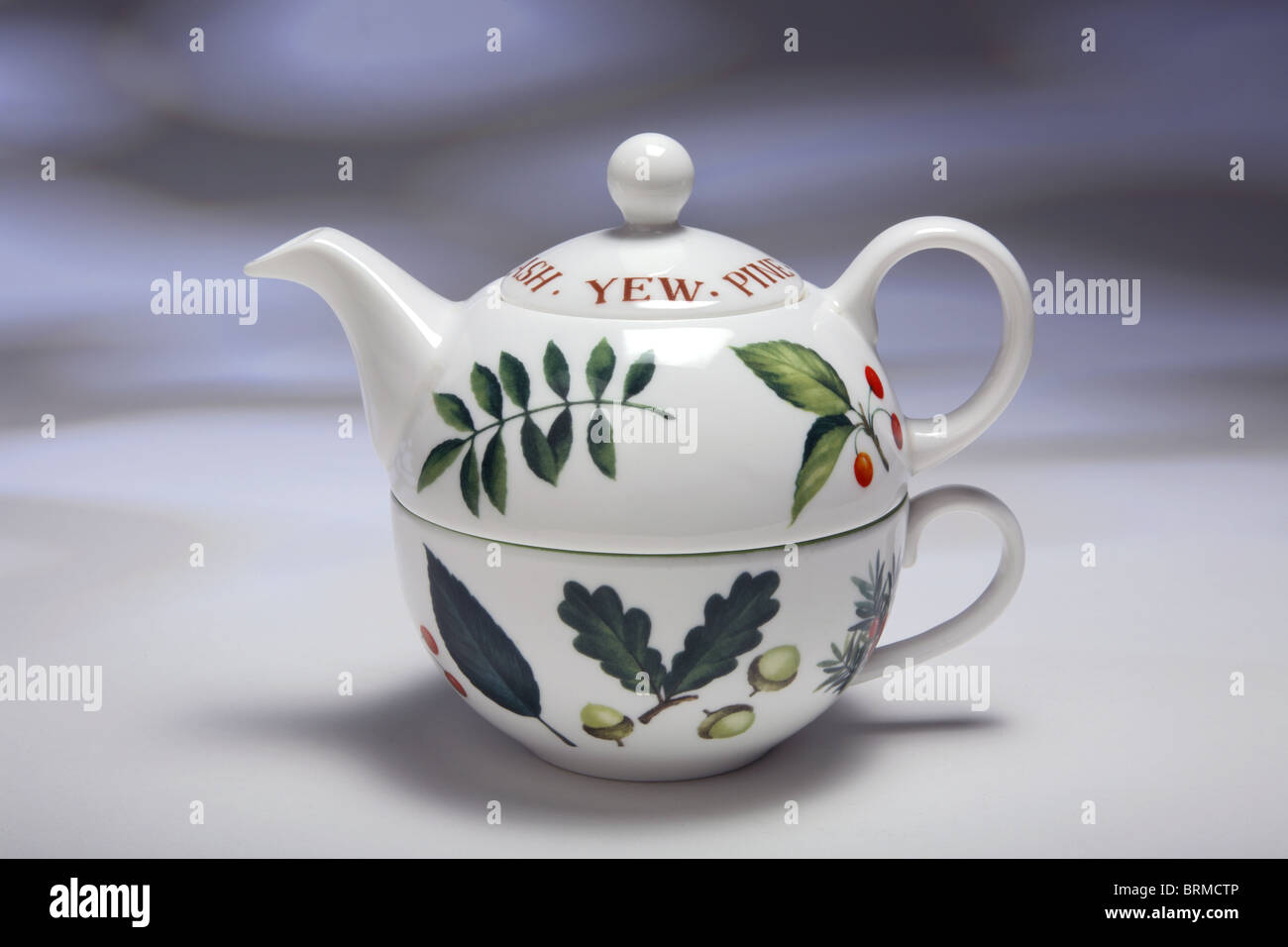 One cup teapot and cup Stock Photo Alamy
