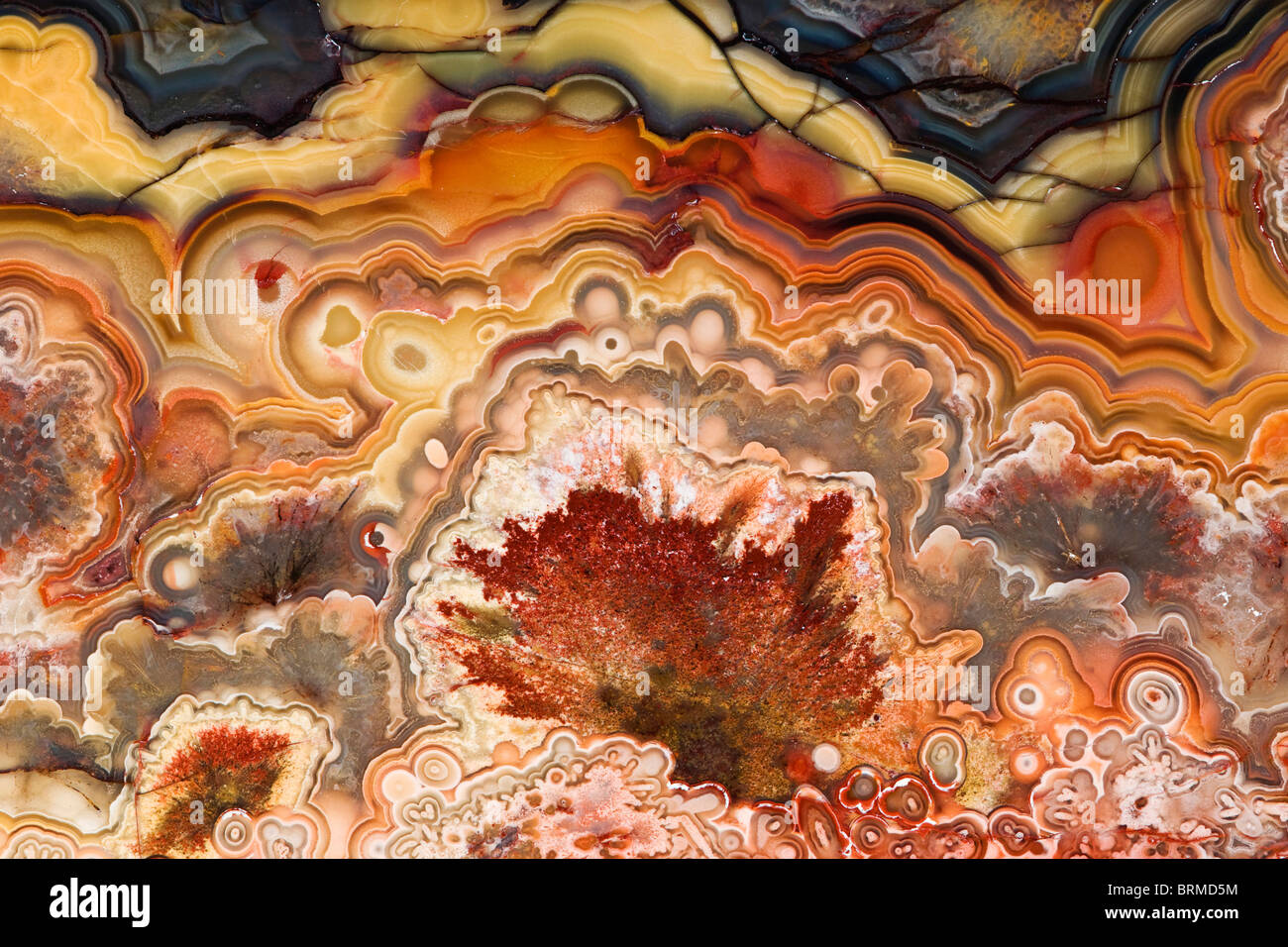 Mexico. Close-up of Crazy Lace Agate stone. Stock Photo