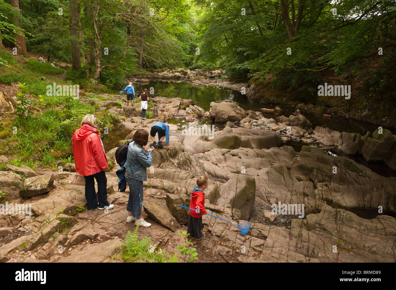 People at the steam in the woods at Stanley Ghyll in Eskdale , Cumbria , England , Great britain , Uk Stock Photo