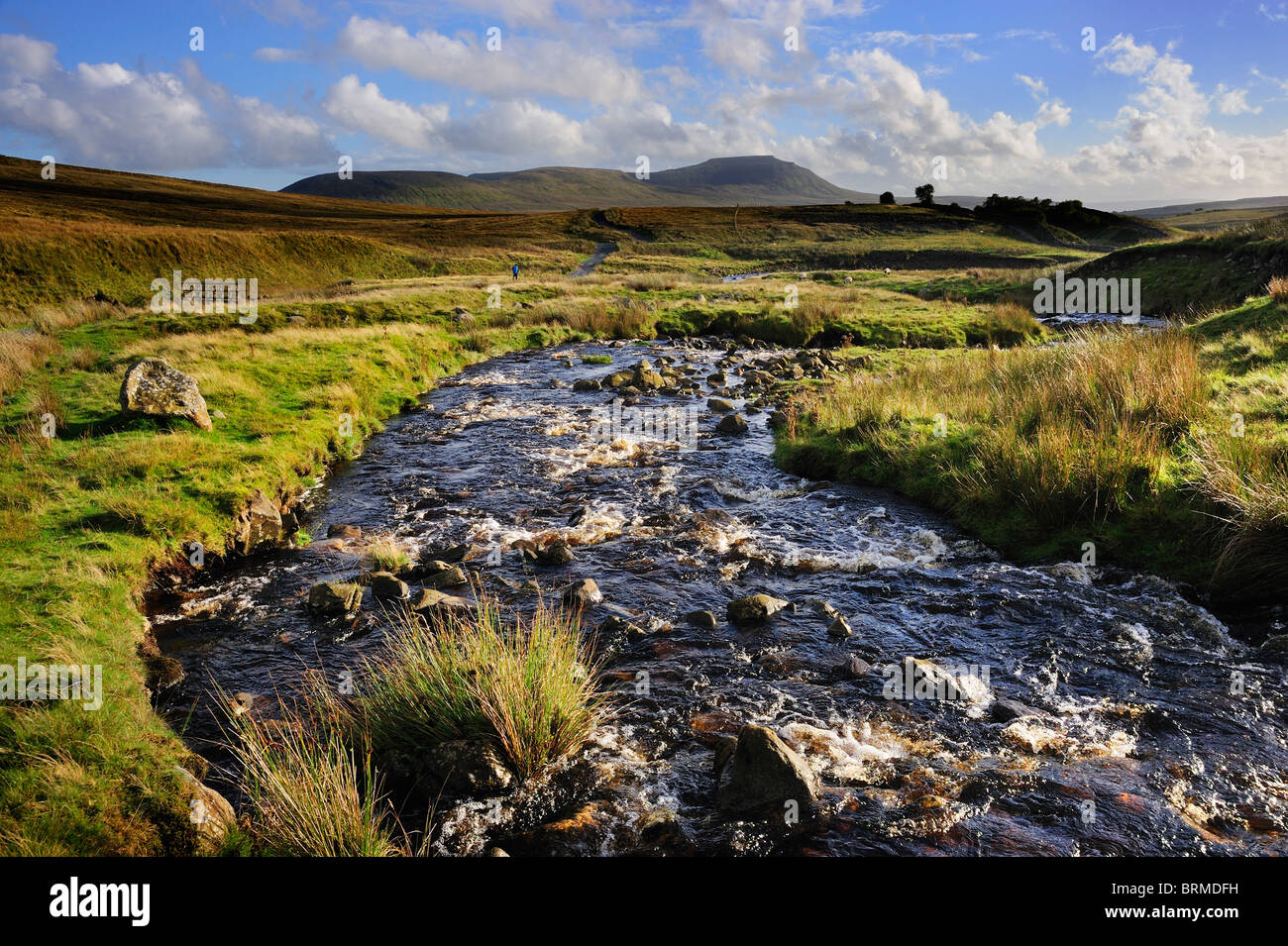 View of Ingleborough hill from Little Dale Beck, Blea Moor, Yorkshire Dales National Park, UK Stock Photo