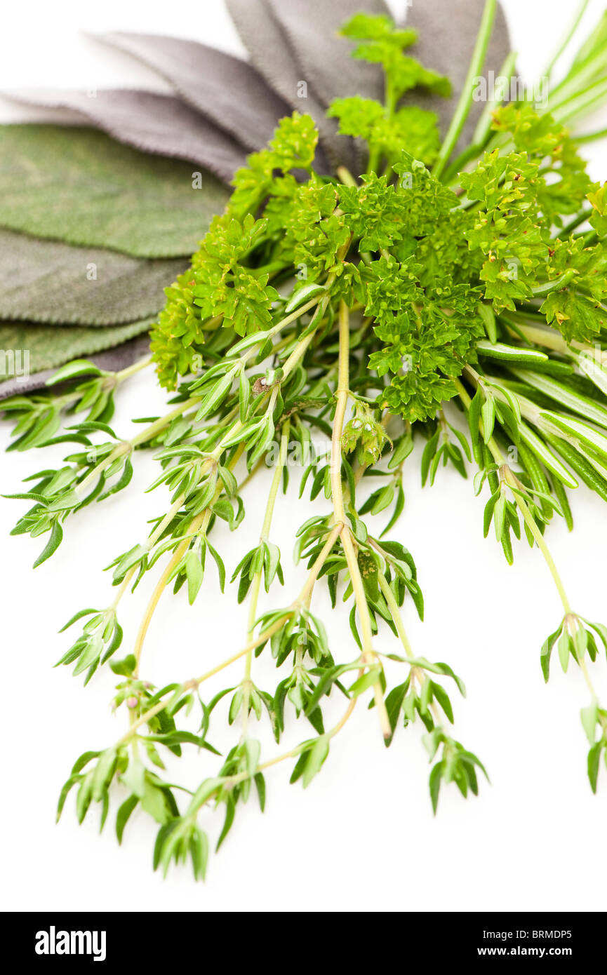 Parsley sage rosemary and thyme hires stock photography and images Alamy