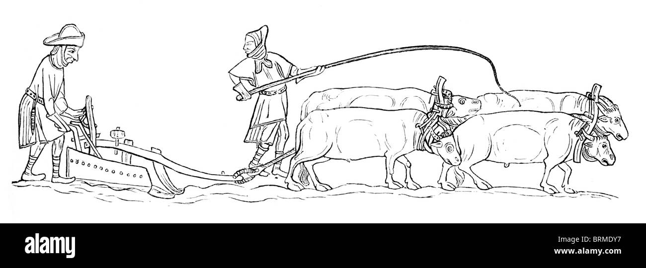 Black and White Illustration from the Loutrell Psalter circa 1340; Ploughing with Oxen Stock Photo