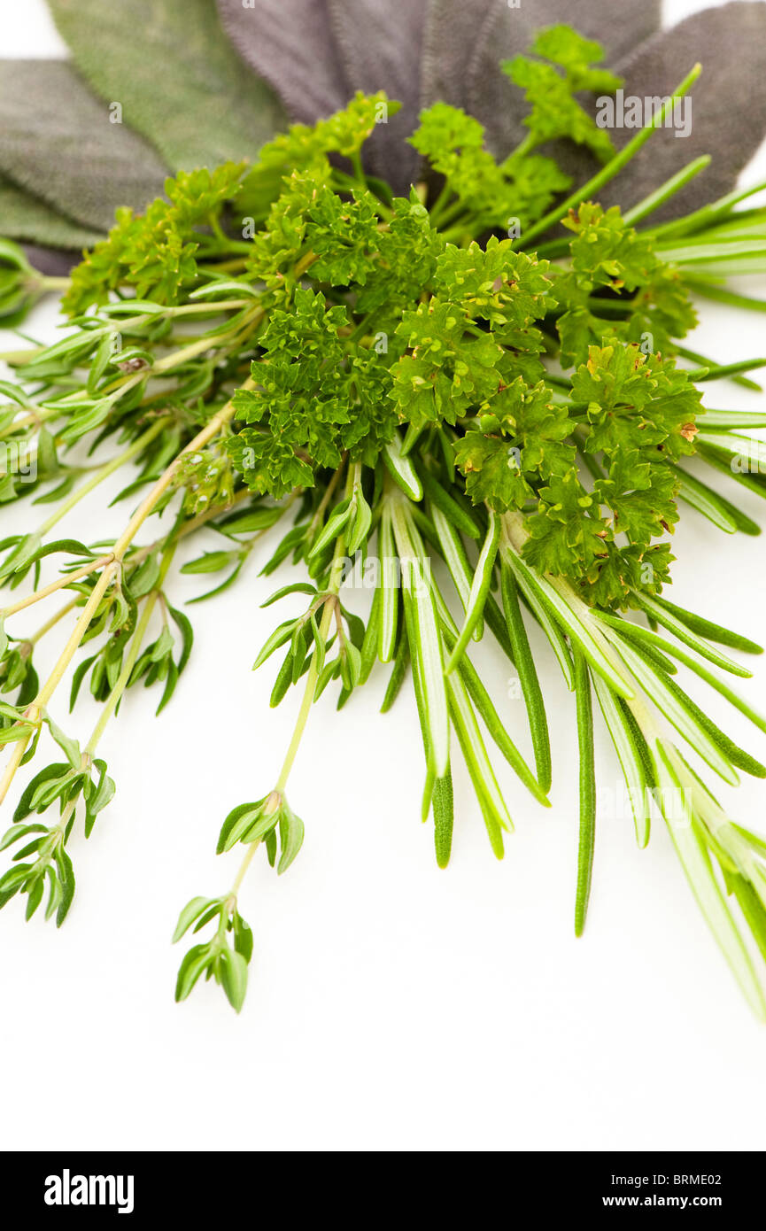 Parsley sage rosemary and thyme hires stock photography and images Alamy