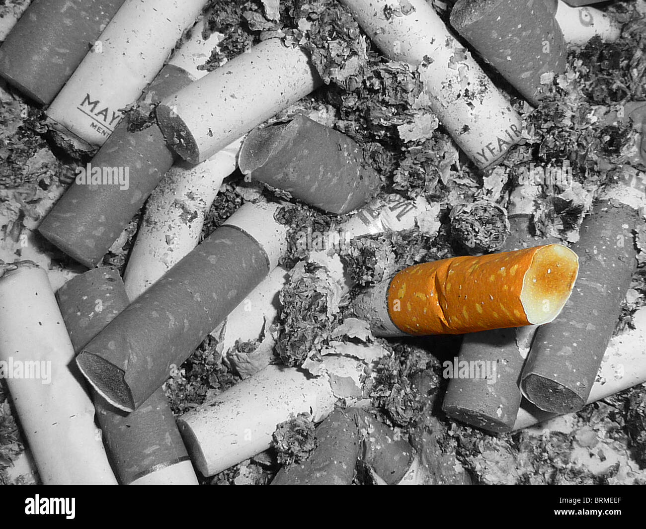 apocalypse meaning cigarettes after sex Apocalypse by Cigarettes After Sex: Lyrics Explained apocalypse meaning cigarettes after sex Apocalypse by Cigarettes After Sex: Lyrics Explained