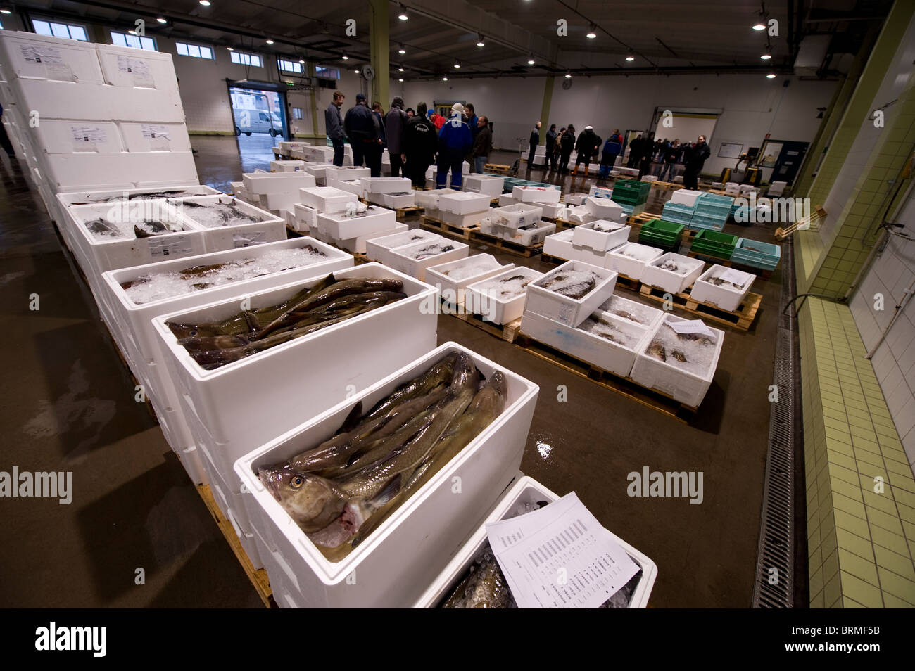 Gothenburg fish market Stock Photo Alamy