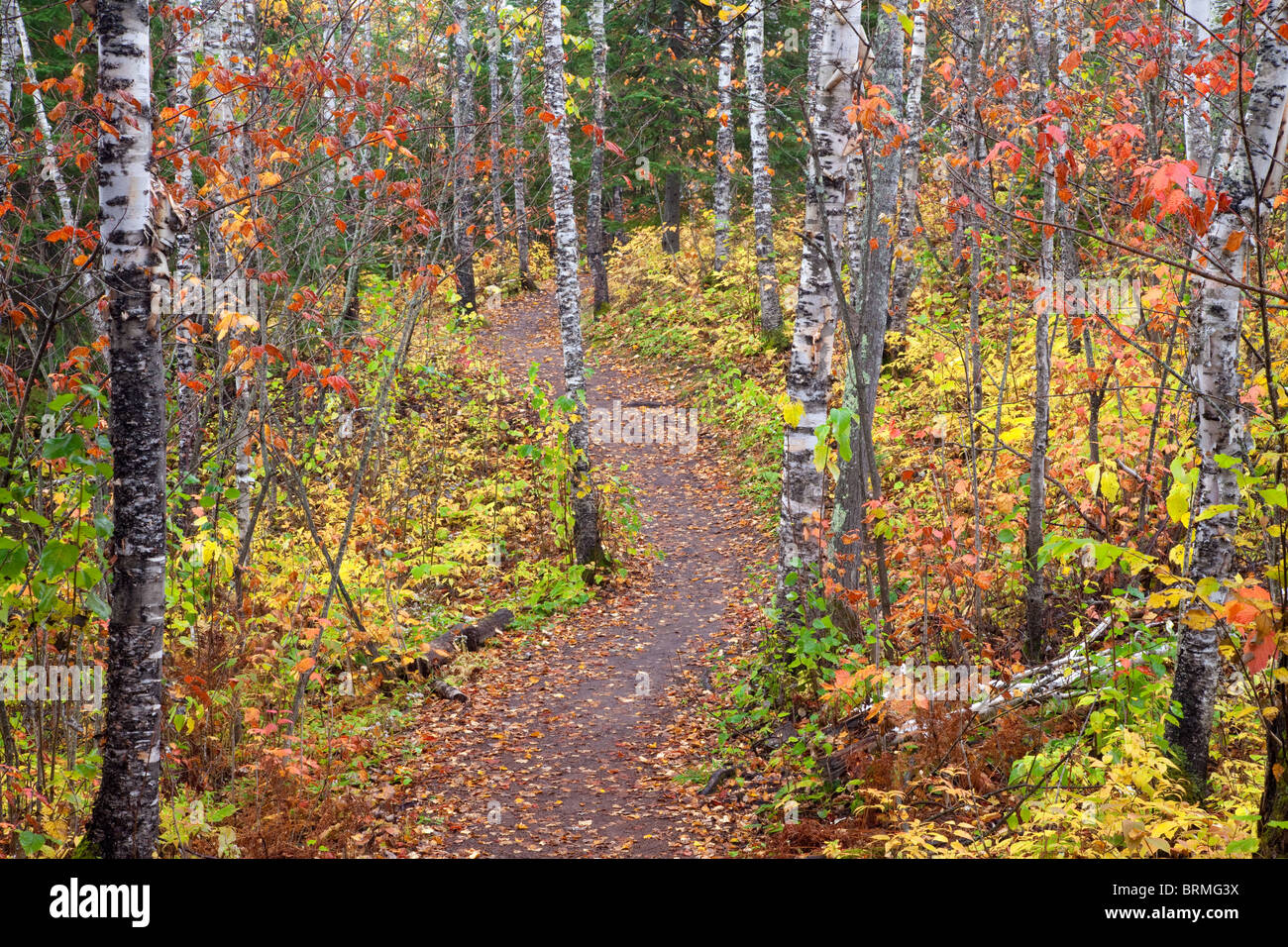 Superior HIking Trail near High Falls, Tettegouche State Park, Minnesota Stock Photo