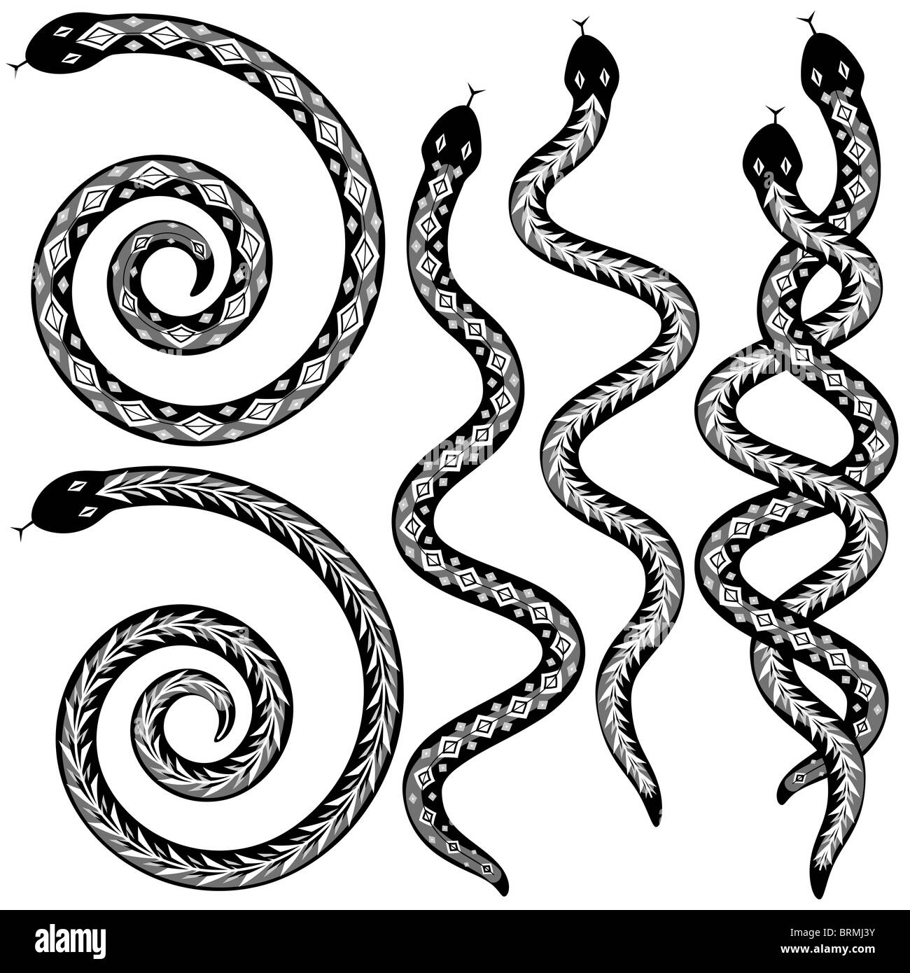 Set of illustrated snake designs black and white Stock Photo - Alamy