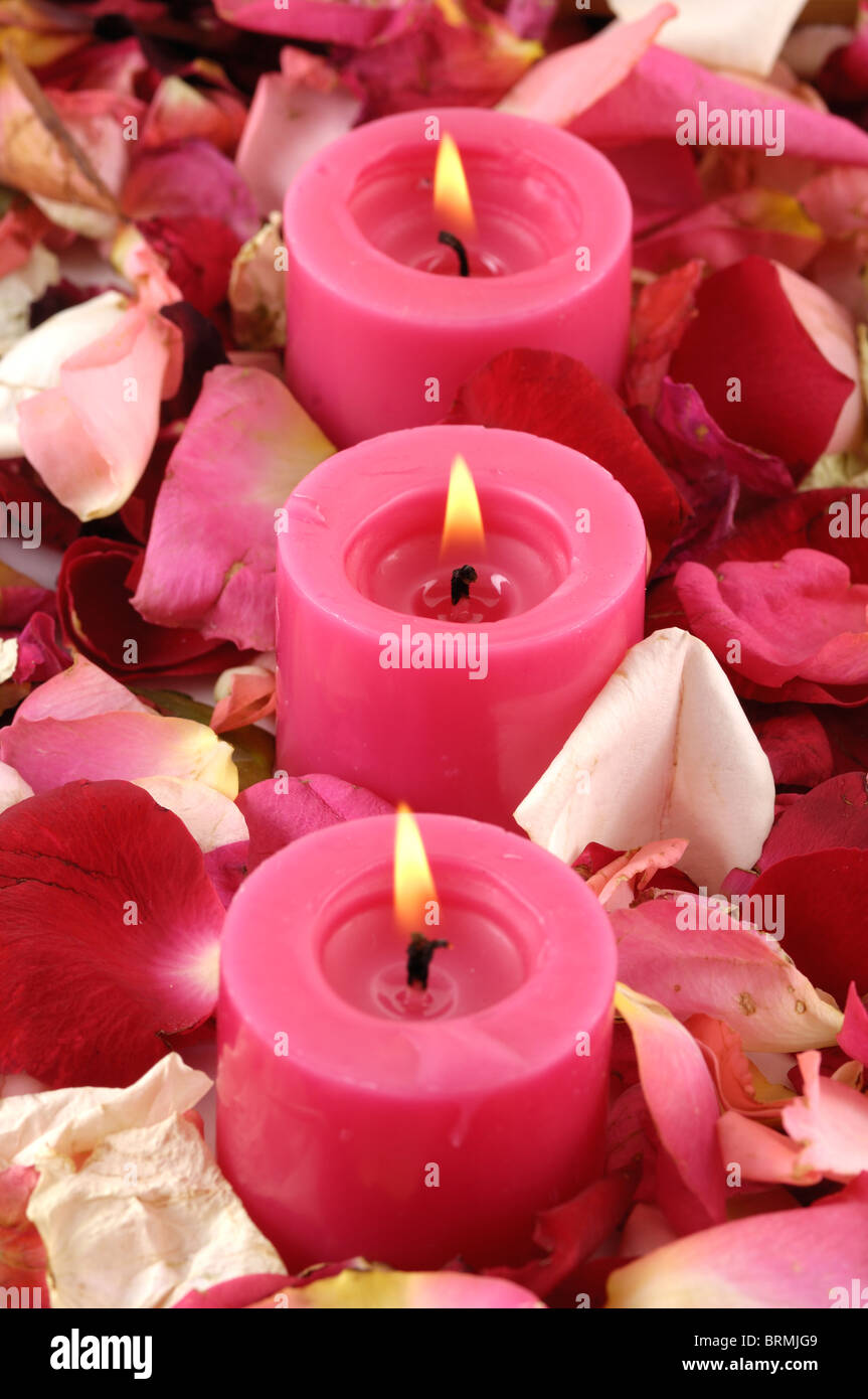 Candles lit up near rose petals Stock Photo Alamy