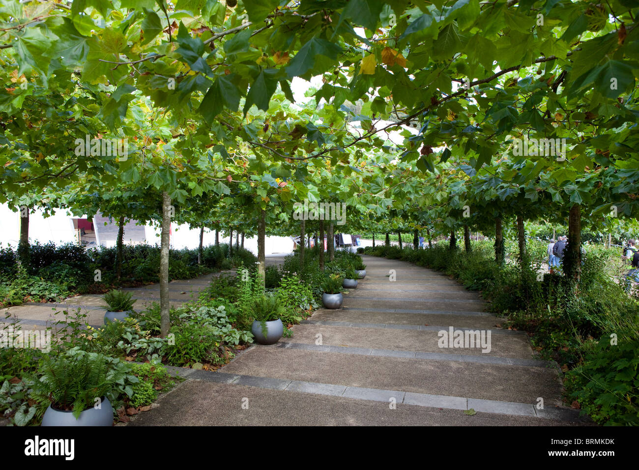 The Eden Project Stock Photo