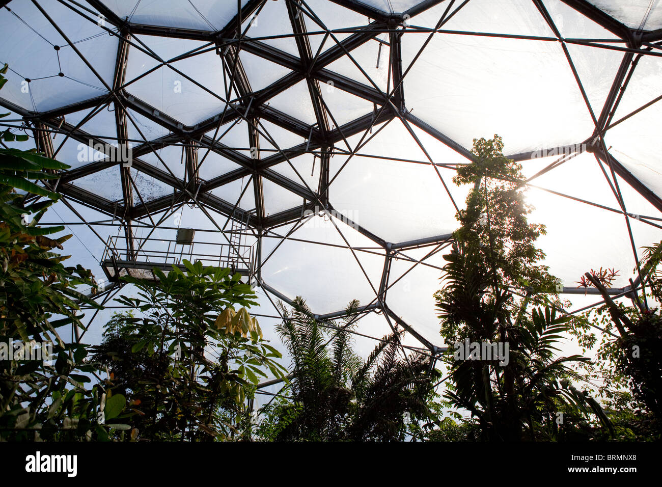 The tropical dome. The Eden Project Stock Photo