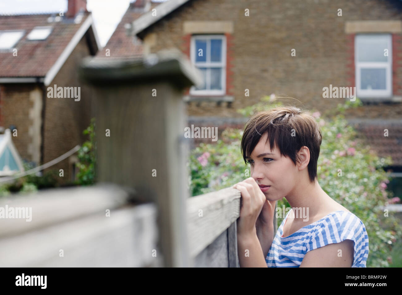Woman looking over fence Stock Photo Alamy