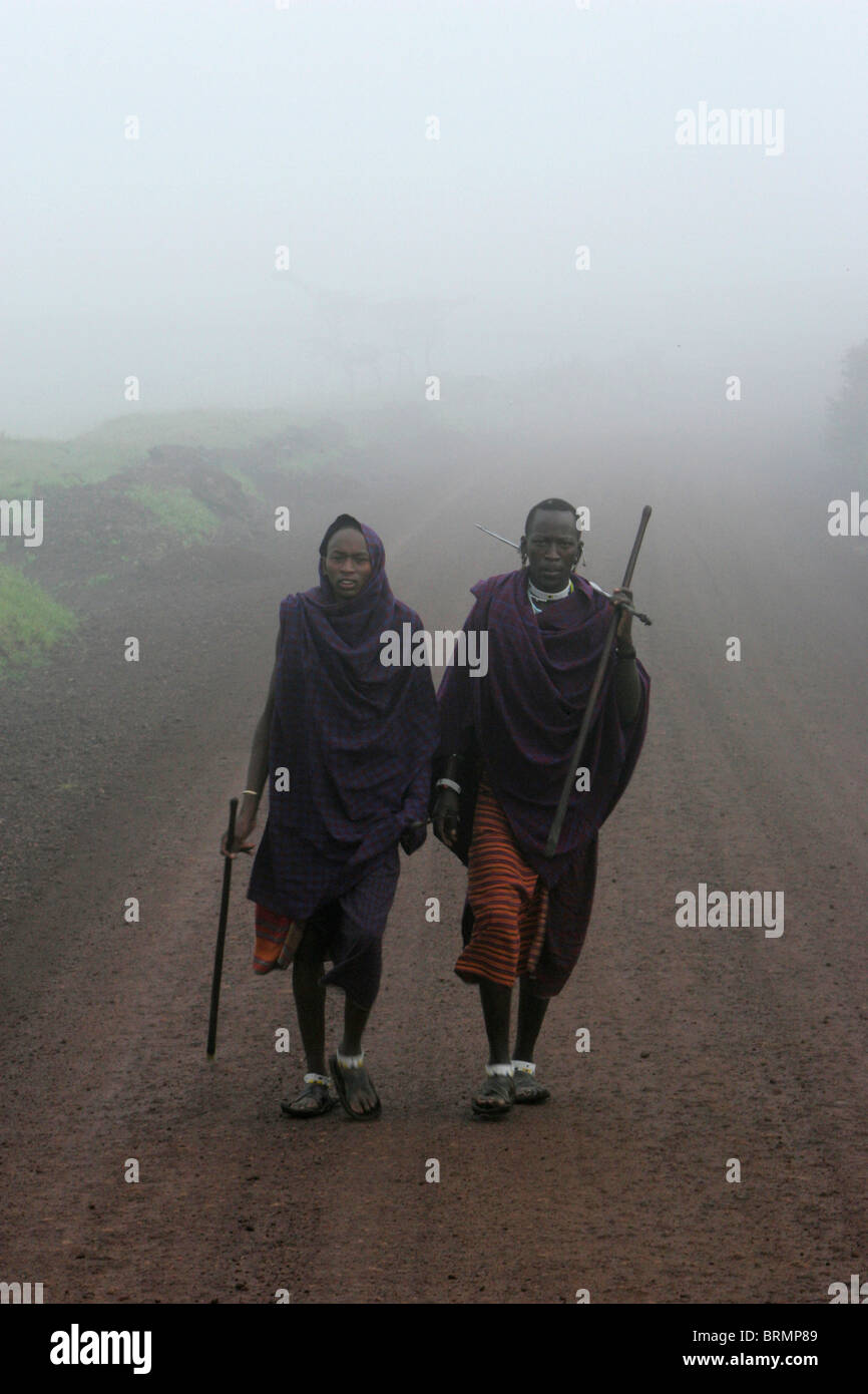 Maasai warriors in the early morning mist Stock Photo