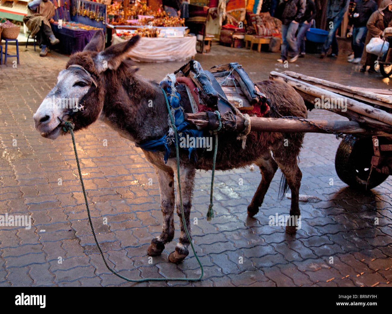 Donkey harnessed to a cart at a market Stock Photo