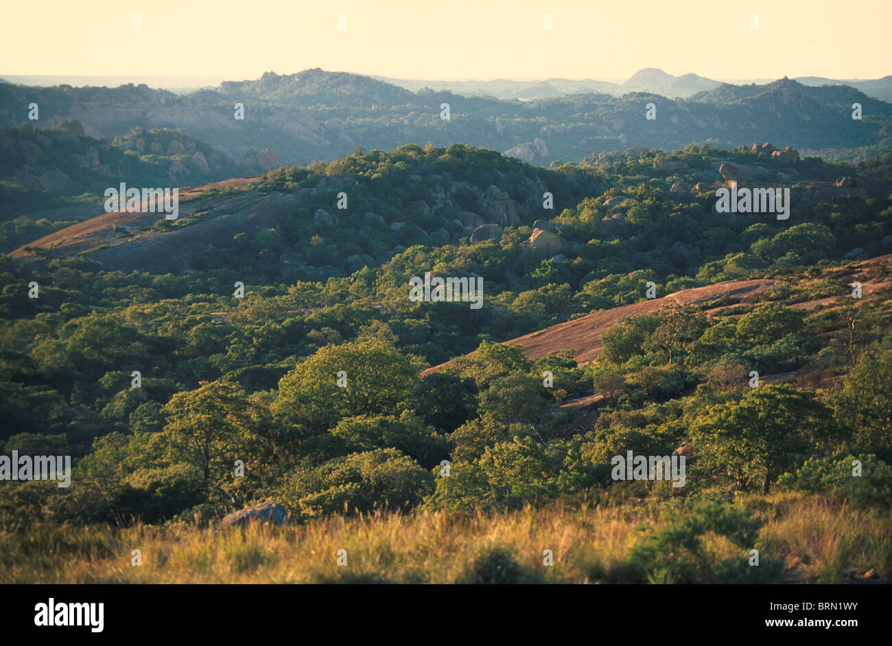 Cecil j rhodes hi-res stock photography and images - Alamy