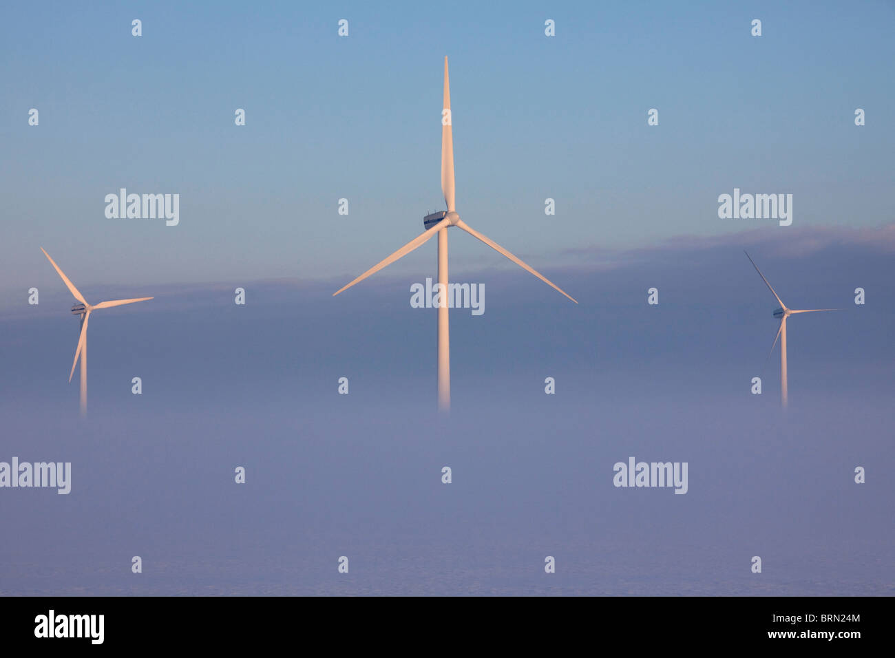 Fog around wind turbines, North Frisia, Schleswig-Holstein, Germany. Stock Photo