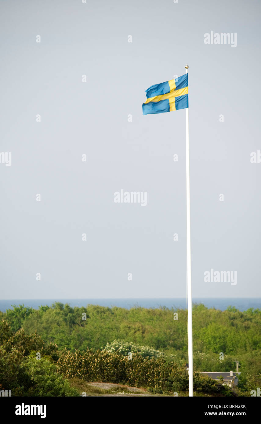 The Swedish flag Stock Photo