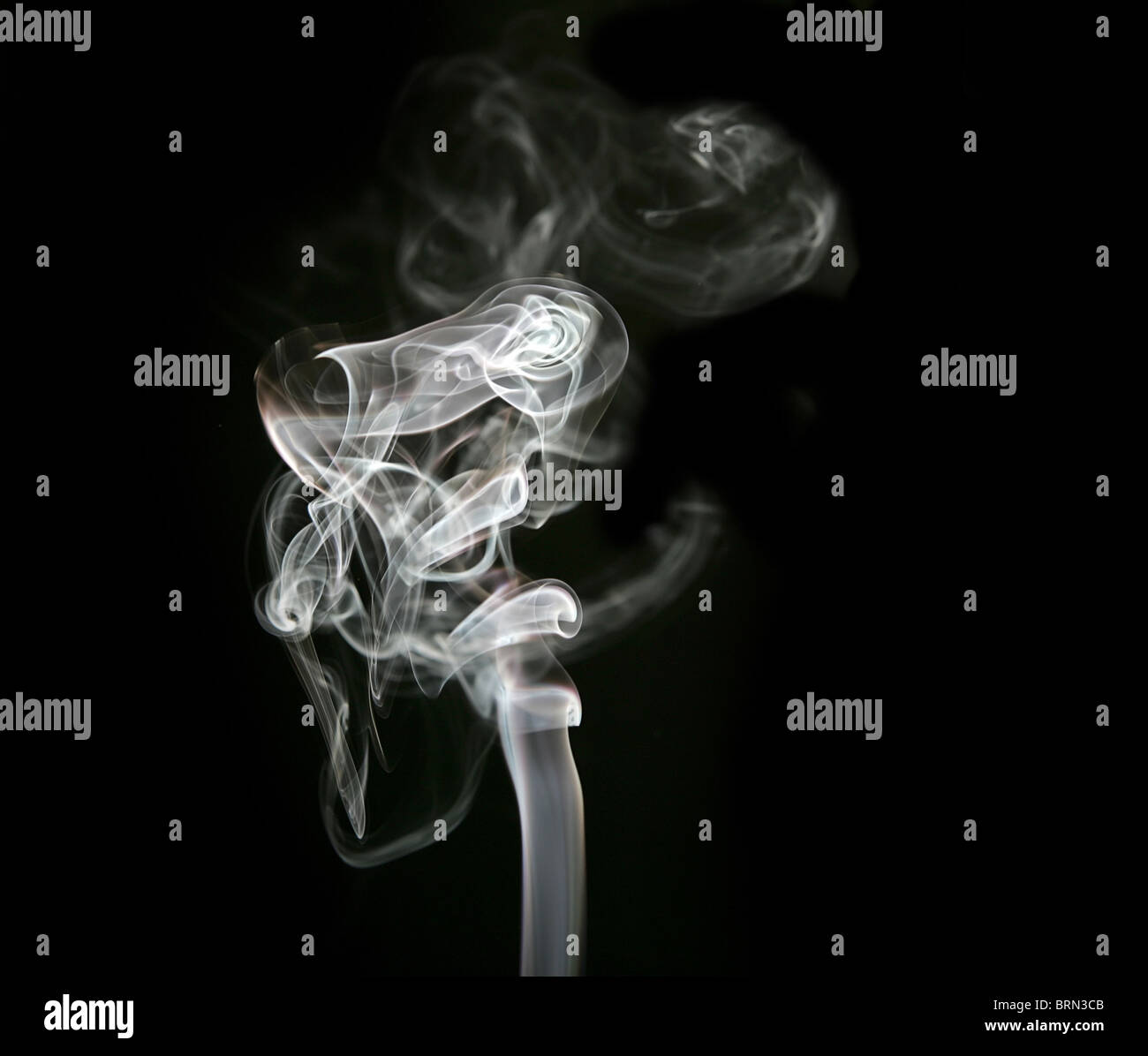 a hint of browns in a smoky white abstract on black Stock Photo