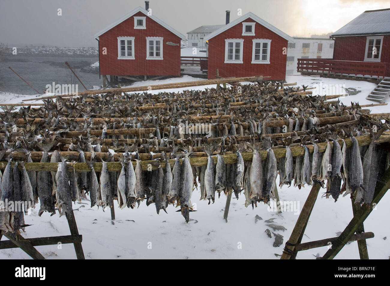 Rorbur islands lofoten hi-res stock photography and images - Alamy