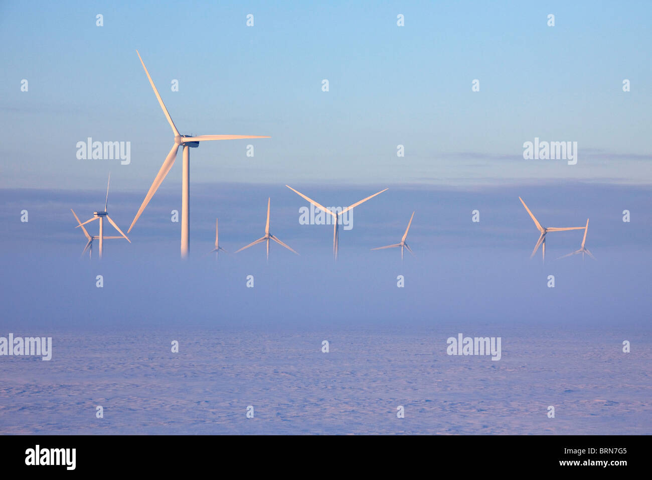 Fog around wind turbines, North Frisia, Schleswig-Holstein, Germany. Stock Photo