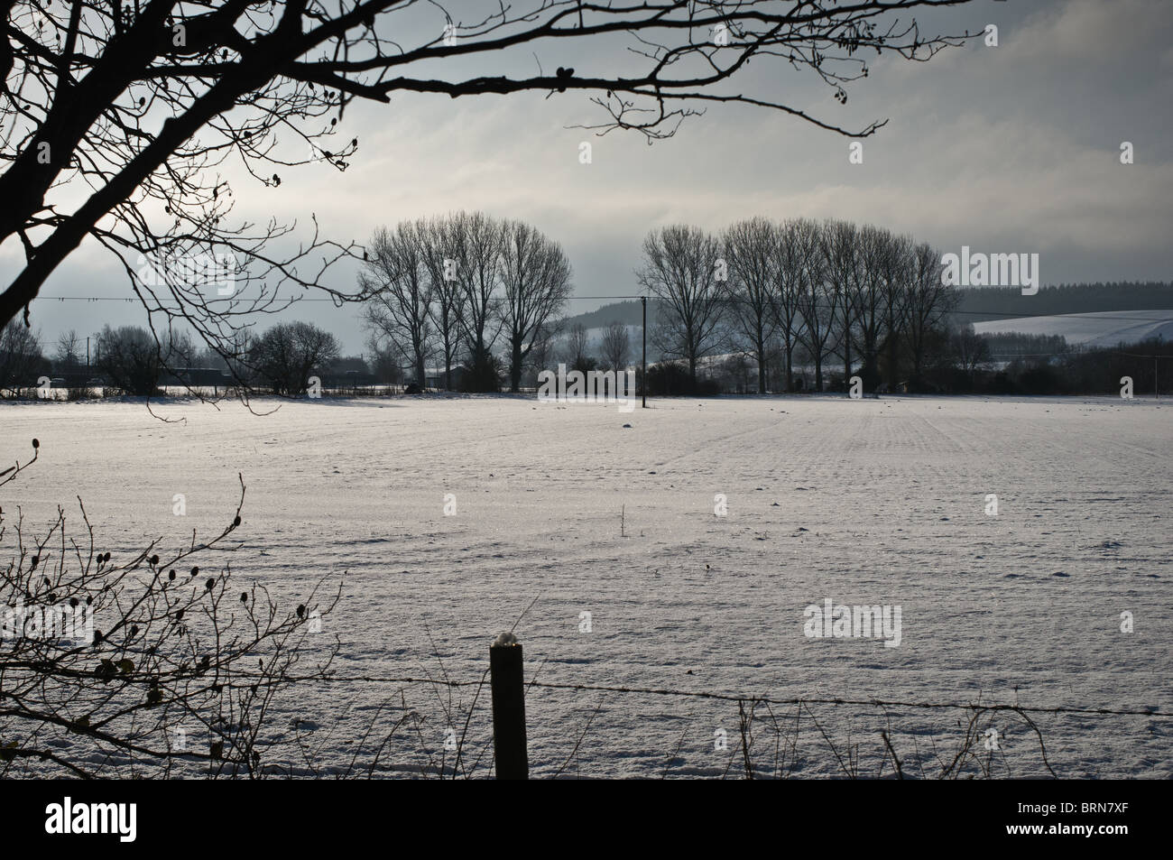 Snow scenes.  near Great Wishford, Salisbury, Wilts   Stock Photo