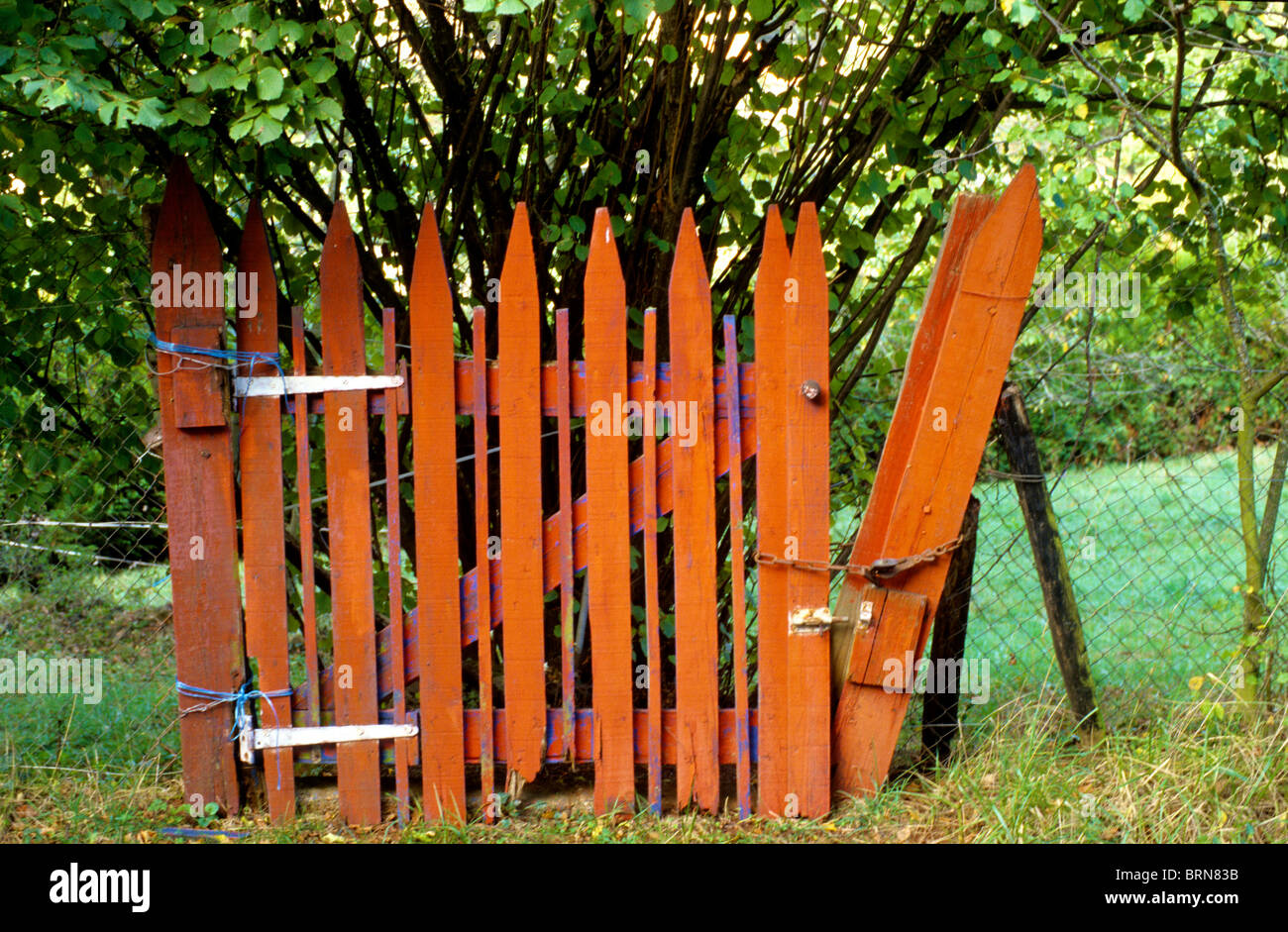 Orange garden gate. Stock Photo