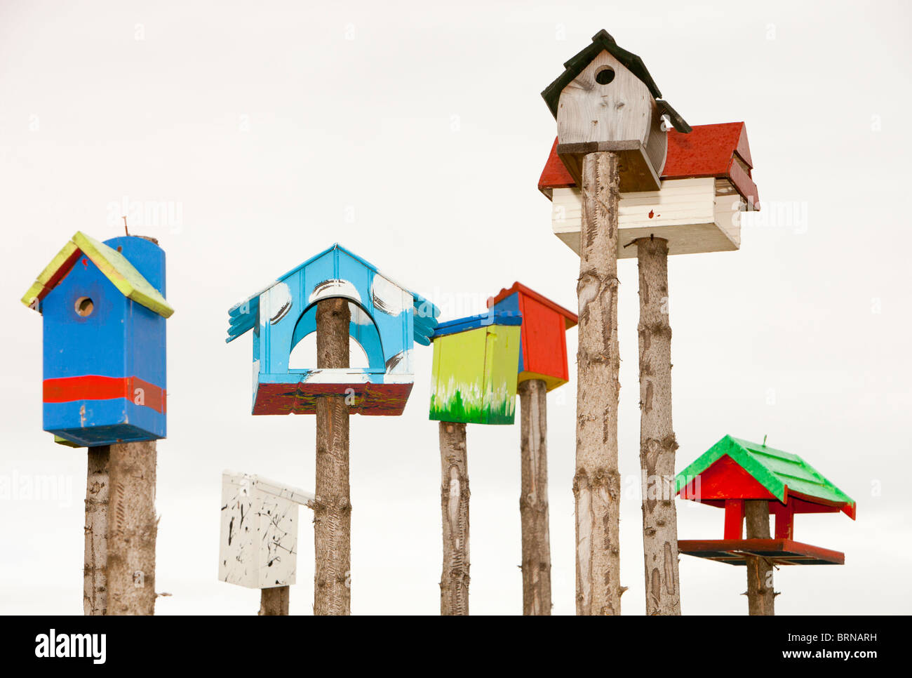 A collection of colourful bird boxs in Hveragerdi, Iceland. Stock Photo