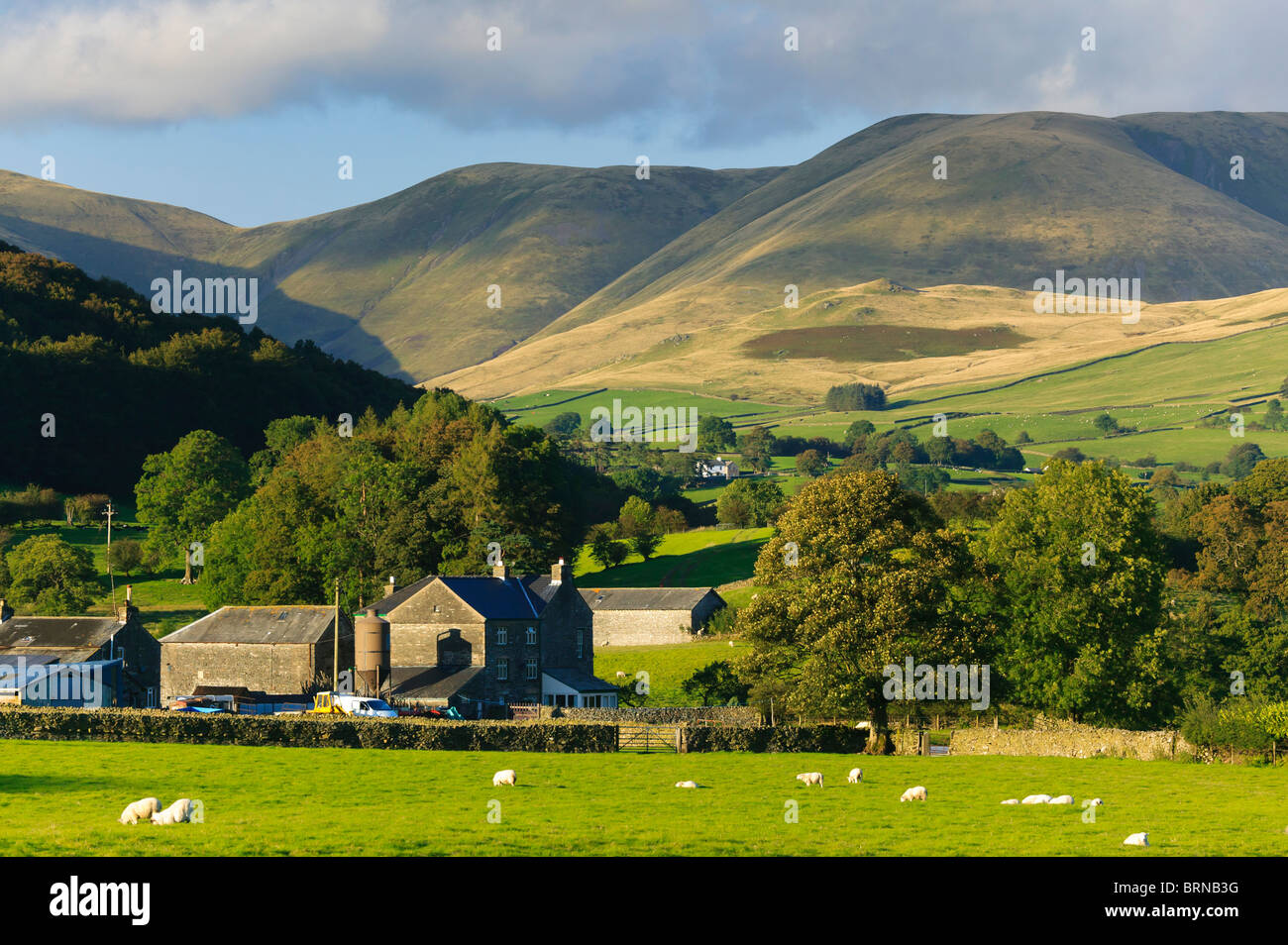 Farm in Garsdale Stock Photo - Alamy