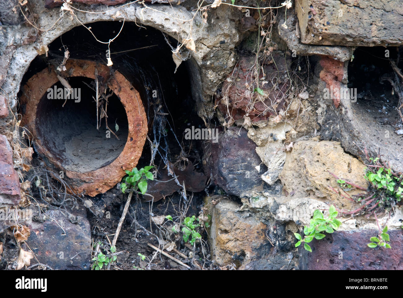 Broken pipe in an old wall Stock Photo Alamy