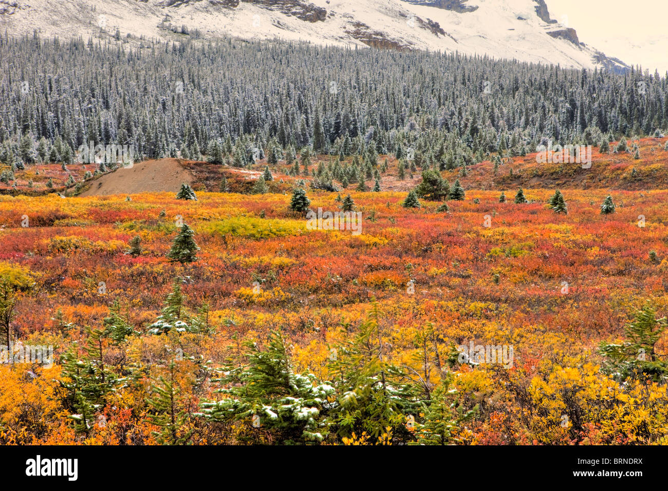 First snow in banff hi res stock photography and images Alamy First snow in banff hi res stock photography and images Alamy