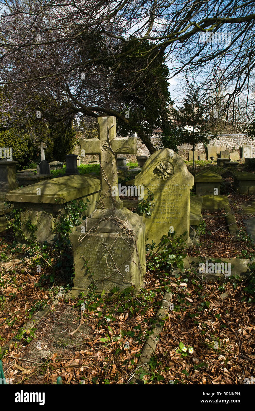 dh Lime walk CLIFTON VILLAGE BRISTOL Clifton St Andrews walk cemetery graveyard headstones uk Stock Photo