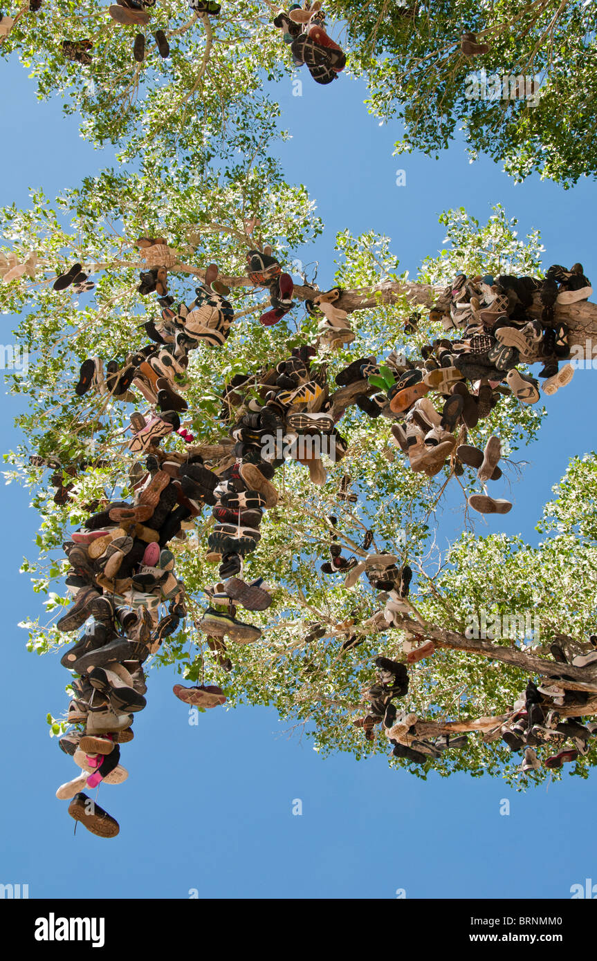 Roadside shoe tree, Churchill County miilepost 70, U.S. Highway 50