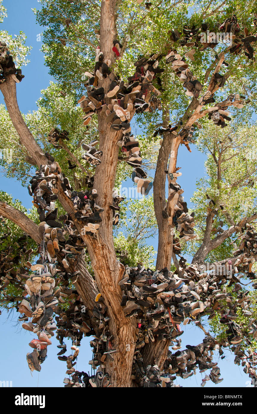 Roadside shoe tree, Churchill County miilepost 70, U.S. Highway 50