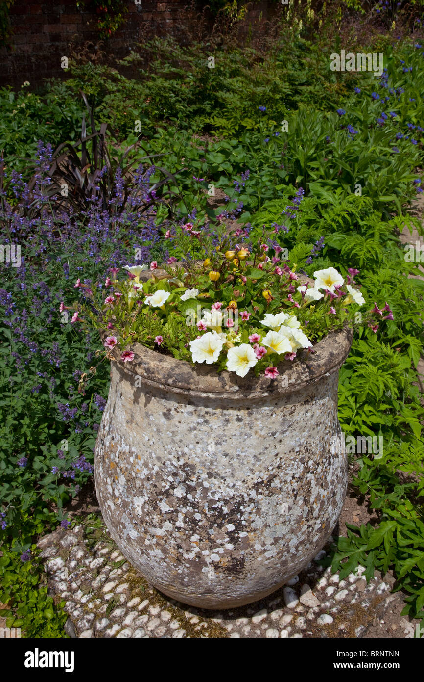 well seasoned garden flower pot with encrusted lichens Stock Photo